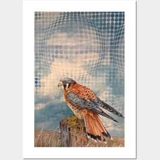 Time Traveling Hawk Posters and Art